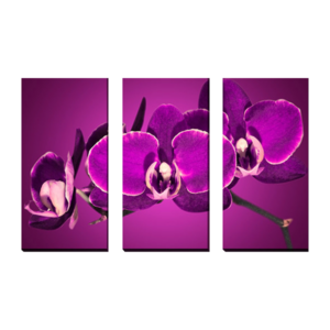 3-dielny obraz na plátne 3x30x70cm Kvet fialový